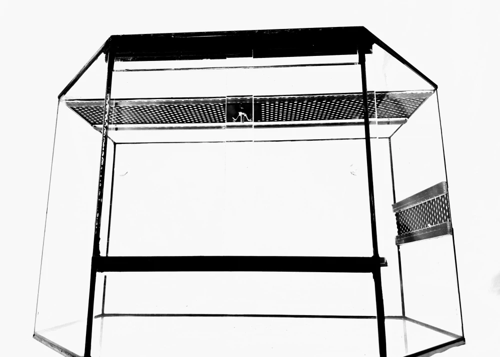 Terárium Panoráma 80x40x40cm